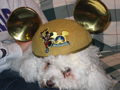 Camper with Golden Mouse Ears
