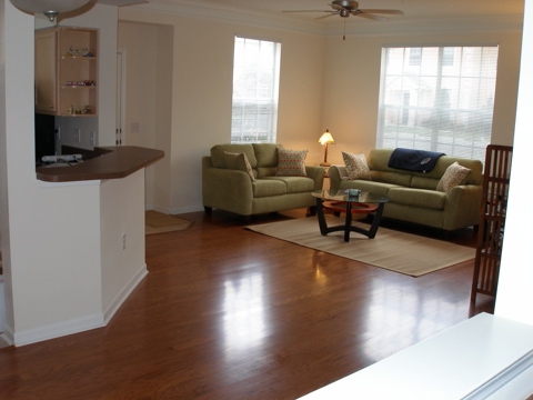 Living Room Area Living Room Area